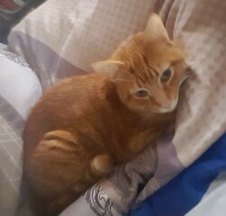 Come and tell me your dull and unexciting news 24: Calmly through the day 