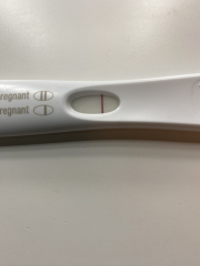 Looking for TWW buddies....