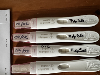 Pregnant after IVF