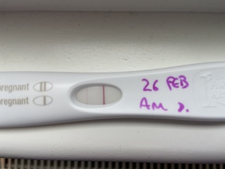 16dpo frer line darkness? (Past miscarriages)