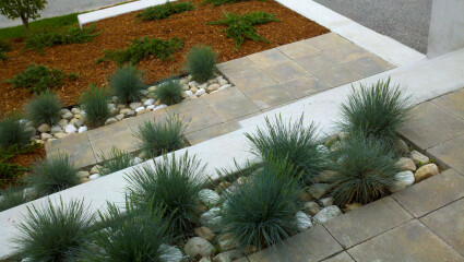 FIL has messed up my front garden … AIBU?
