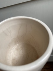 Cracks after a year?