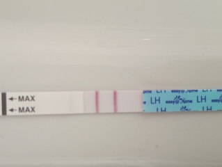 Ovulation test strips faulty or?...