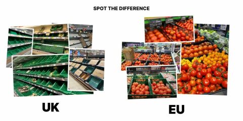 Fruit and veg shortages