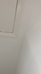 Ceiling Crack 