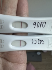 January Testers (TTC September/October🎃🍂)