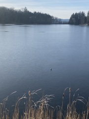 Come and tell me your dull and unexciting news 24: Calmly through the day 