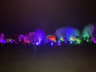 Frugal Friends Fearlessly Facing February.