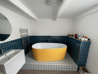 Suggestions for finishing bathrooms?