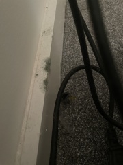 Damp/mold/condensation