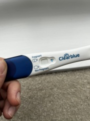 Evap line or pregnant? Miscarried nearly 3 weeks ago