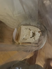 What's happened to my bread?