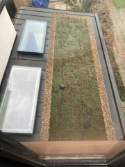 Green/living roof