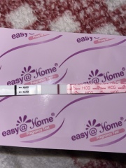 New to this! Is this an evap line? 