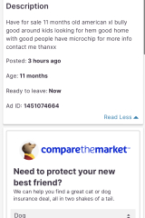 4 year old killed by a dog.