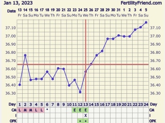 Trying to Conceive over 40 part 3