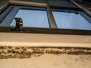 Horrified - lots of black mould hidden under the window frame 