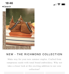 Wardrobe staples for a well put together look tall plus size mid 50’s? 