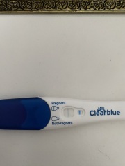 Positive Tests?