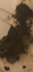 AIBU thinking my sisters landlord should sort this? Pics included. 