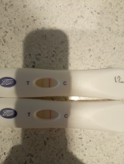 Due November 2023 ✨