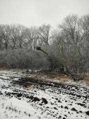 Ukraine Invasion: Part 38