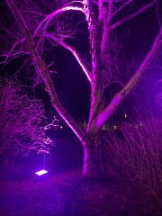 Frugal Friends Fearlessly Facing February.