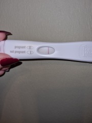 BFP or Indent?