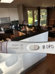 January Testers (TTC September/October🎃🍂)