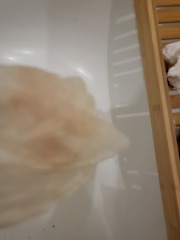 Success with 9 cell embryos at day 3