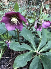 Come and tell me your dull and unexciting news 24: Calmly through the day 