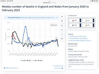 To wonder why nobody is talking about the excess death rates