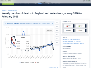 To wonder why nobody is talking about the excess death rates