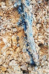 Seem to have hit bedrock while digging up border. Drill?