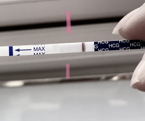 TWW - Testing Around 1st March 