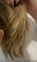 Is this a bad haircut?
