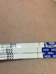 Help with pregnancy test results please