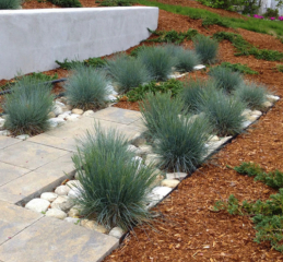 FIL has messed up my front garden … AIBU?