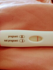 Are you guys seeing a line like me it's very faint