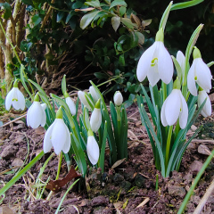 Any Witches Here?- Part 18