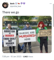"Beth" Douglas suspended from Green Party for violent tweets.