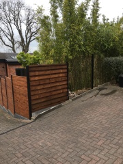 Neighbour's huge new extension, how can I create privacy in the garden again?