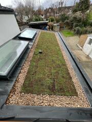 Green/living roof