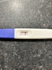 6DPO