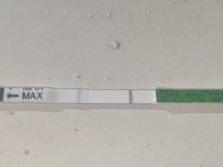 Faint line but other tests negative 