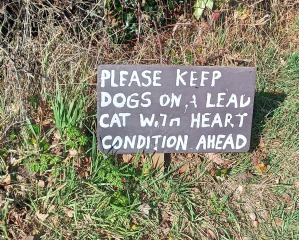 Best foot forward for 2023: a thread for walkers