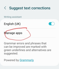 Big paragraphs appearing when I try to reply to threads 