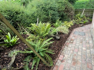 Please show me your courtyard gardens!