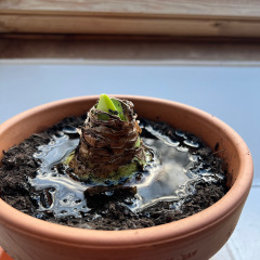 Show Us Your Pictures 6