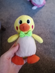 Searching for chick daughters favourite toy 